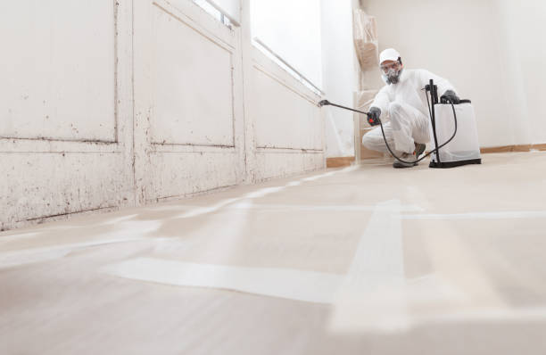 24/7 Emergency Attic Mold Removal experts in Reading, PA